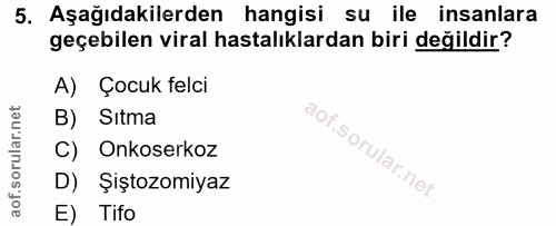 Soru 5