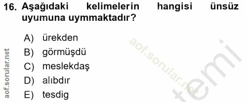 Soru 16