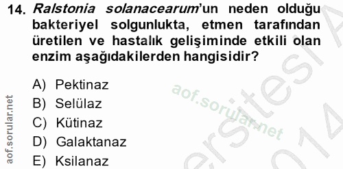 Soru 14