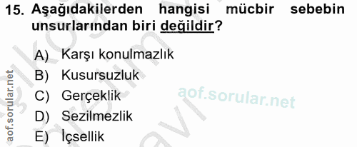 Soru 15