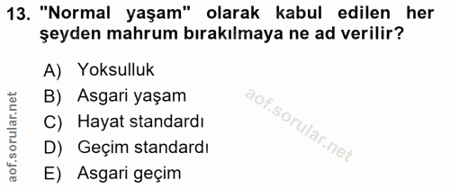 Soru 13