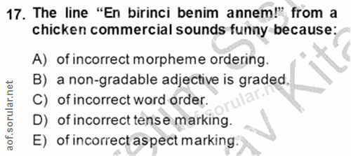 Soru 17