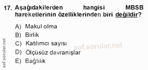 Soru 17