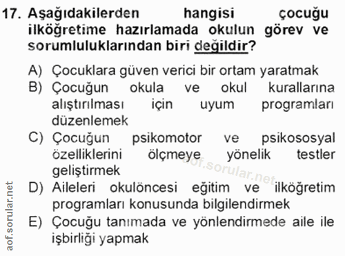 Soru 17