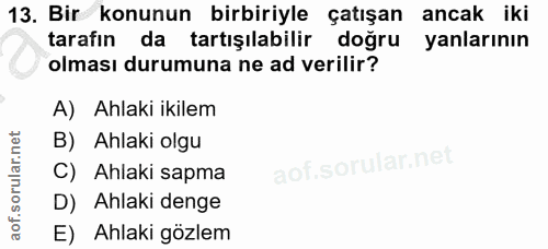 Soru 13