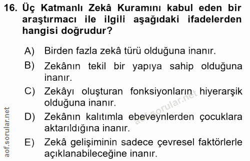 Soru 16
