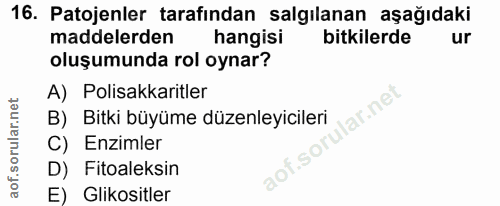 Soru 16