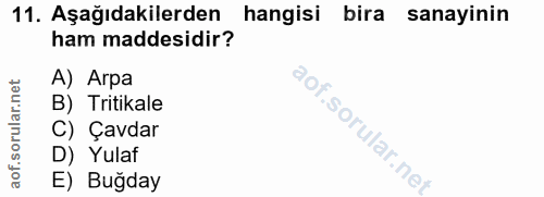 Soru 11