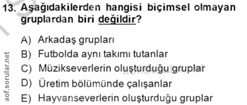 Soru 13