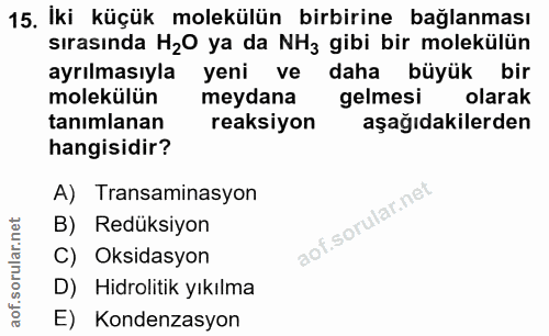 Soru 15