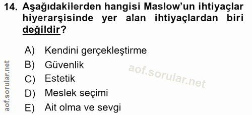 Soru 14