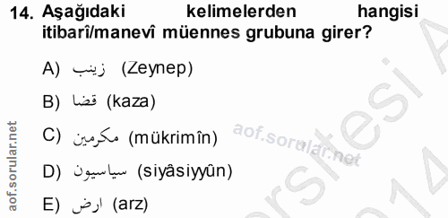 Soru 14