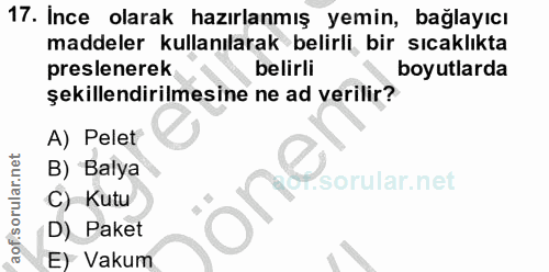 Soru 17