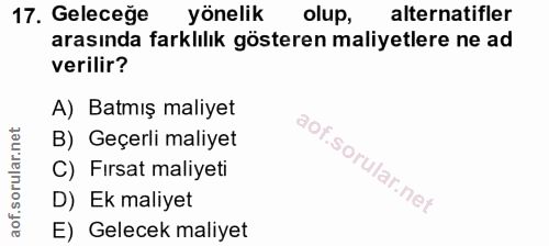 Soru 17