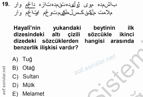 Soru 19