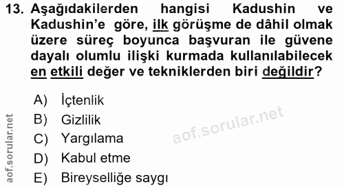 Soru 13