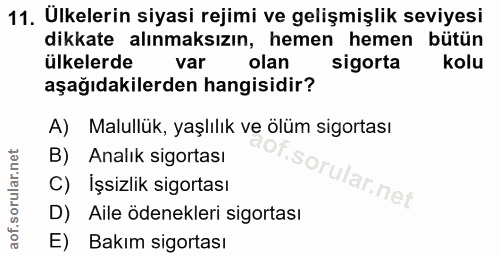 Soru 11