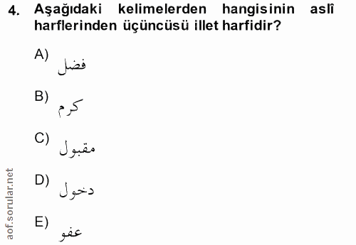 Soru 4