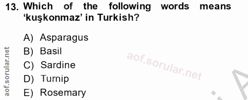 Soru 13