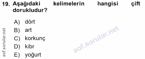 Soru 19