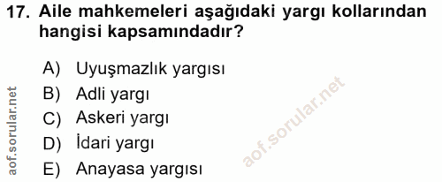 Soru 17
