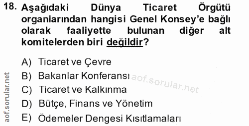 Soru 18