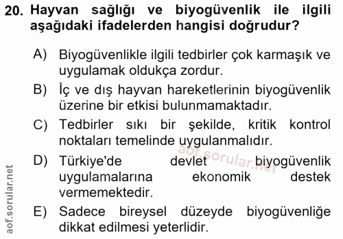 Soru 20