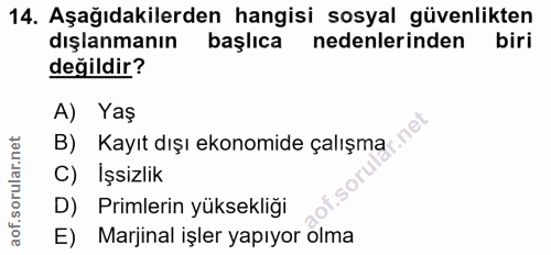 Soru 14