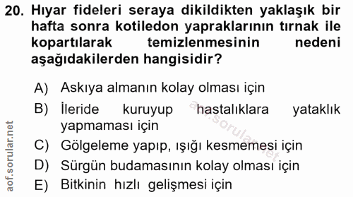 Soru 20