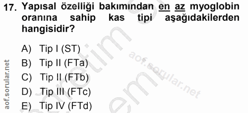 Soru 17