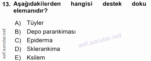 Soru 13