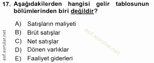 Soru 17