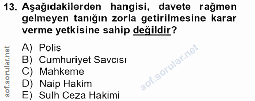 Soru 13