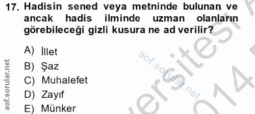Soru 17