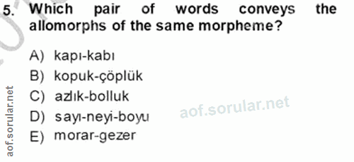 Soru 5