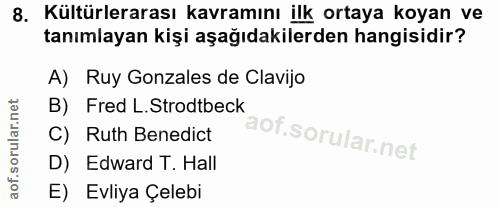 Soru 8