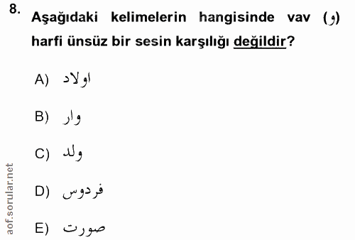 Soru 8