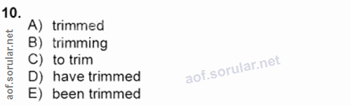 Soru 10