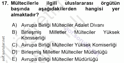 Soru 17