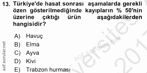 Soru 13