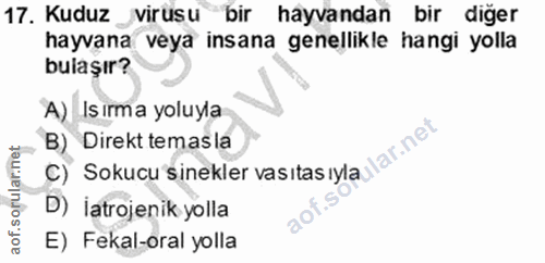 Soru 17