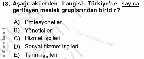 Soru 18