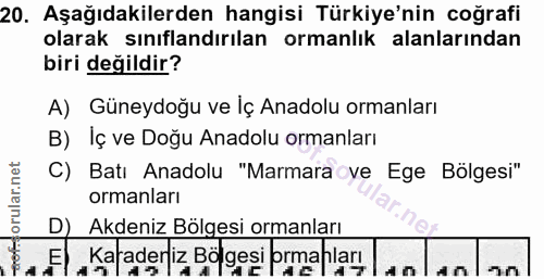 Soru 20