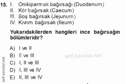 Soru 15