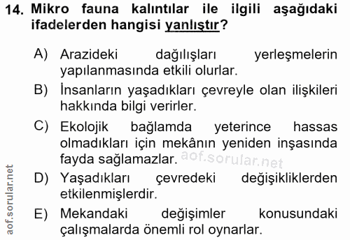 Soru 14