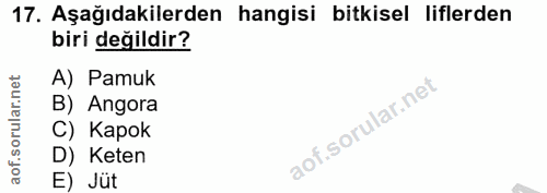 Soru 17