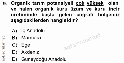 Soru 9