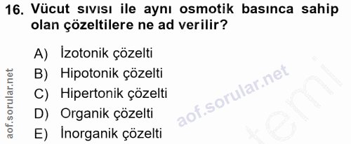 Soru 16