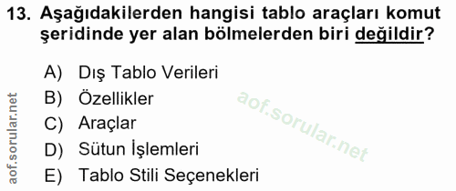 Soru 13