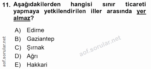 Soru 11